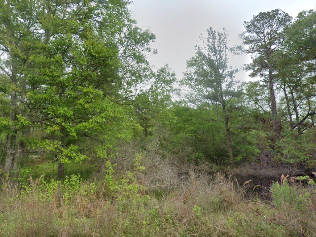 00 North Dr Lot 24, Splendora, Texas image 1