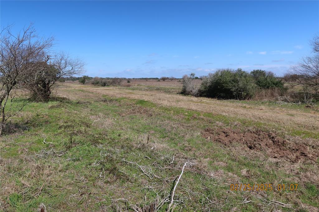 000 Teal Lane, Columbus, Texas image 8