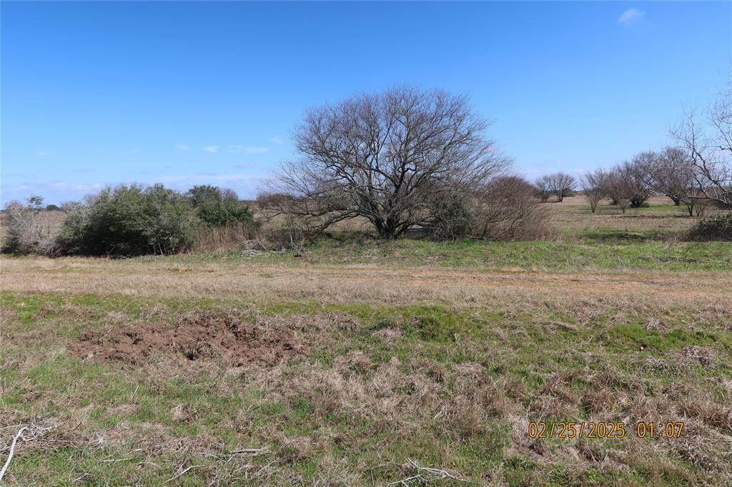 000 Teal Lane, Columbus, Texas image 6