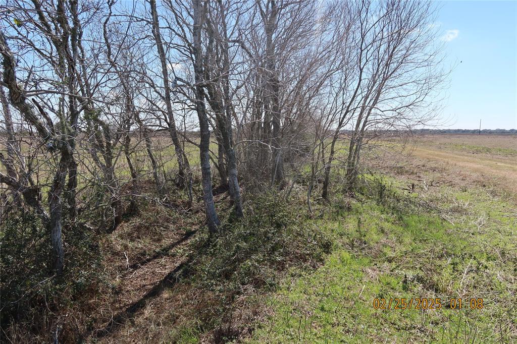 000 Teal Lane, Columbus, Texas image 11