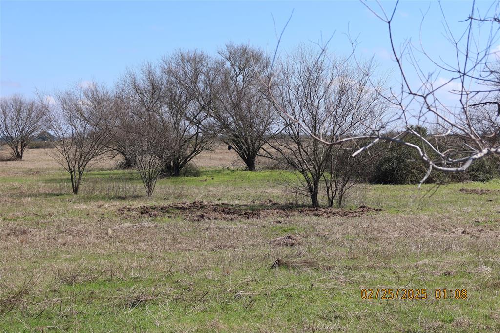 000 Teal Lane, Columbus, Texas image 10
