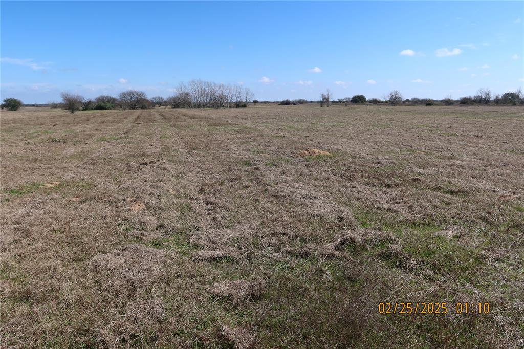 000 Teal Lane, Columbus, Texas image 12