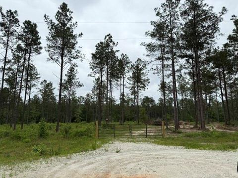 Vacant Land For Sale - 00 Richardson Road<br/> Livingston, TX 77351