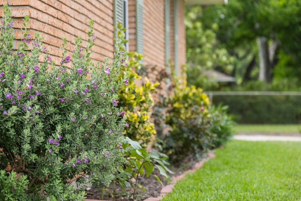 4502 Lido Lane, Houston, Texas image 28