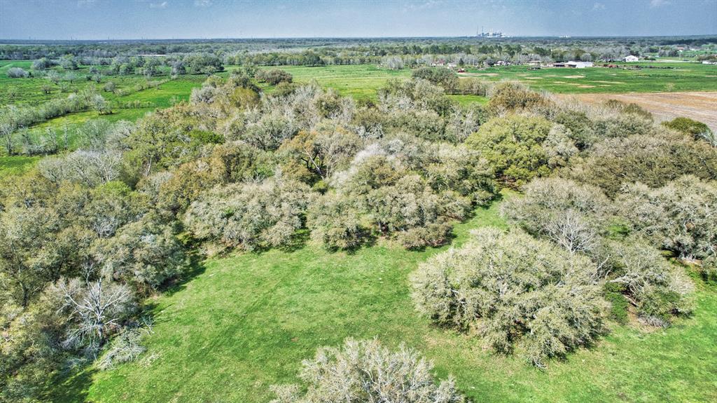 000 Davis Estate Road, Needville, Texas image 12