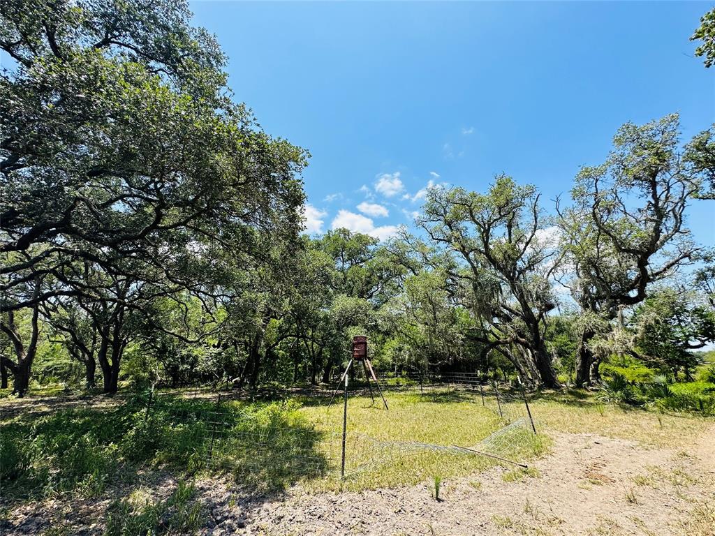 000 Davis Estate Road, Needville, Texas image 15