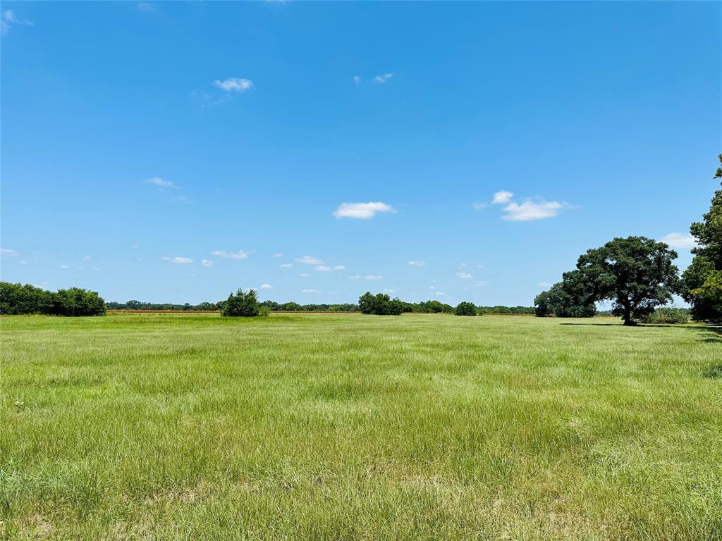 000 Davis Estate Road, Needville, Texas image 18