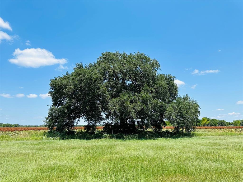 000 Davis Estate Road, Needville, Texas image 22