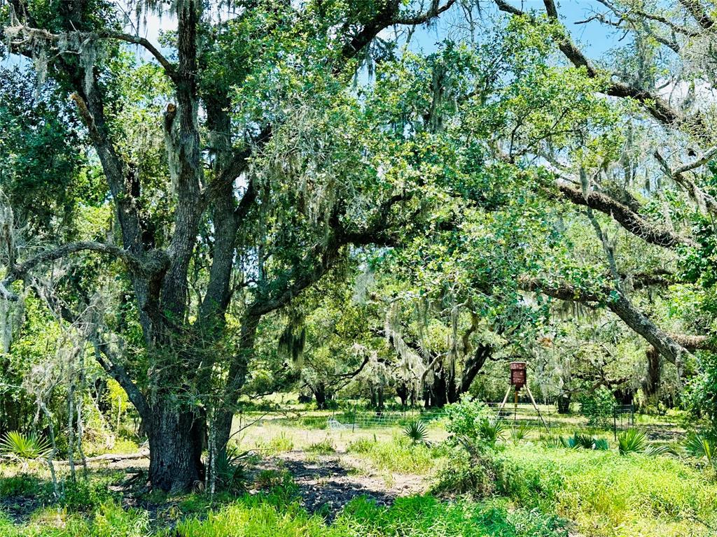 000 Davis Estate Road, Needville, Texas image 17