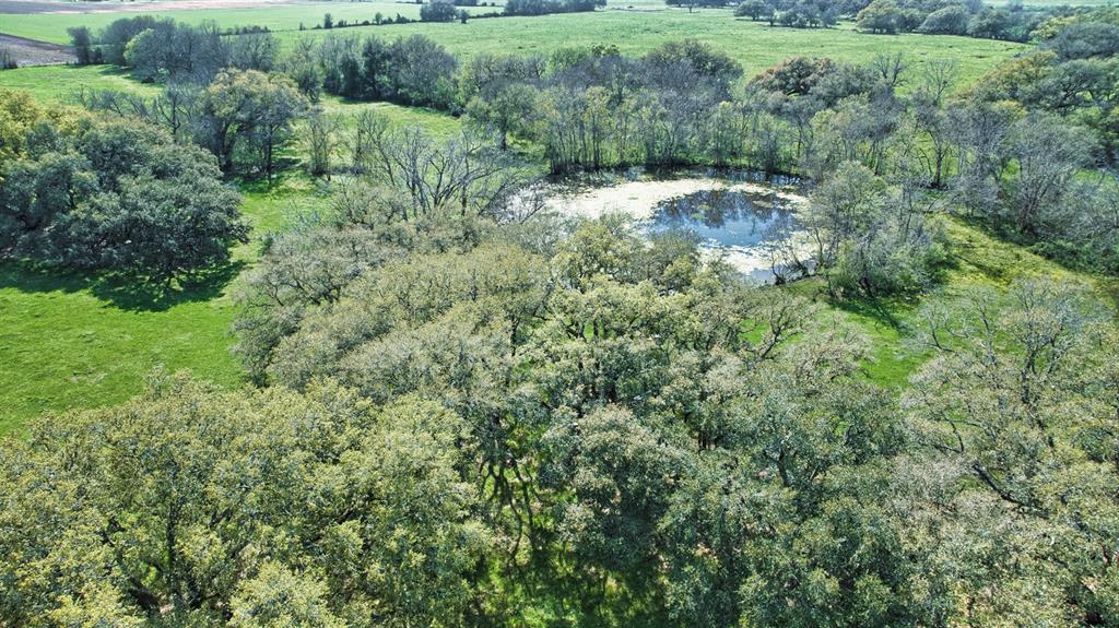 000 Davis Estate Road, Needville, Texas image 11