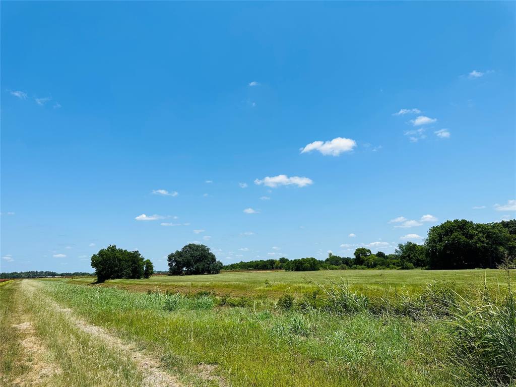 000 Davis Estate Road, Needville, Texas image 21