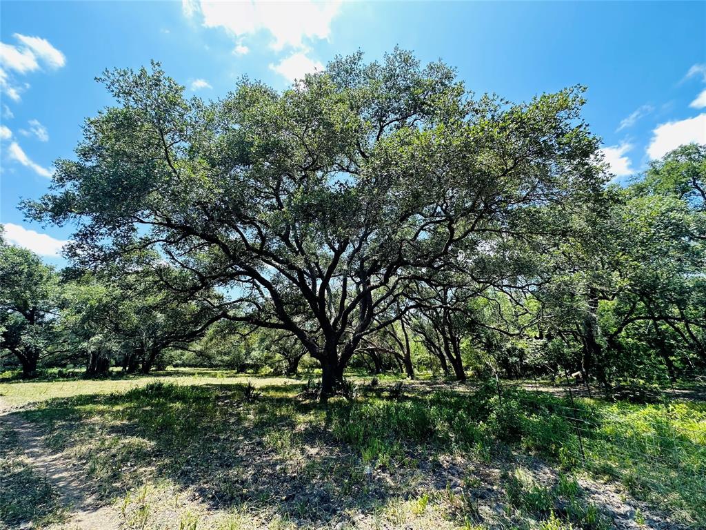 000 Davis Estate Road, Needville, Texas image 14