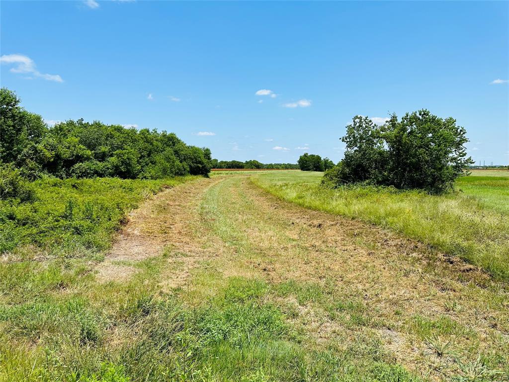 000 Davis Estate Road, Needville, Texas image 20