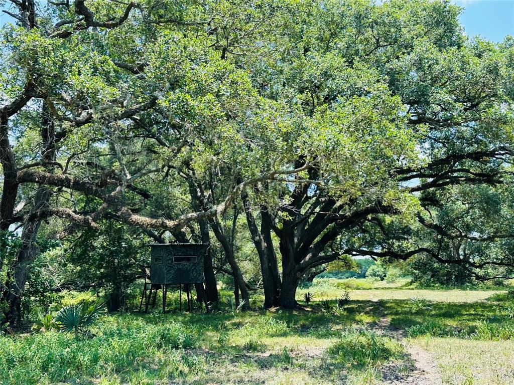 000 Davis Estate Road, Needville, Texas image 16