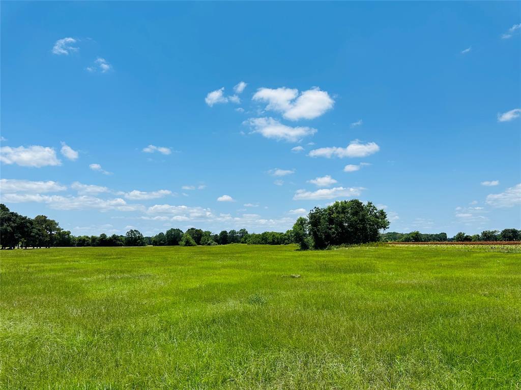 000 Davis Estate Road, Needville, Texas image 19