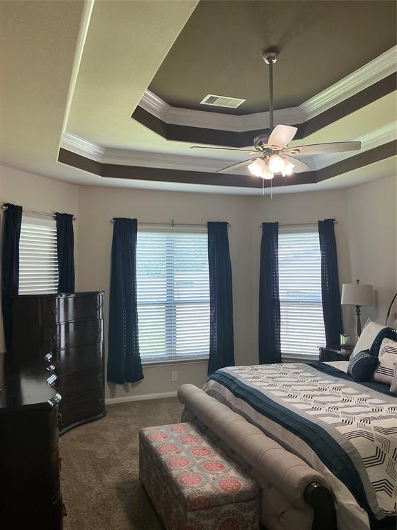 2511 Crystal Shore Dr, Rosharon, Texas image 13