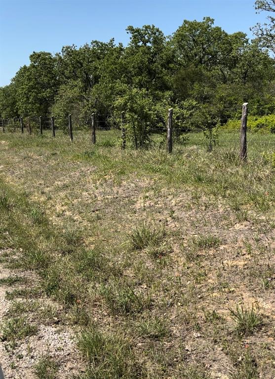 13565 Cr 274, Somerville, Texas image 10