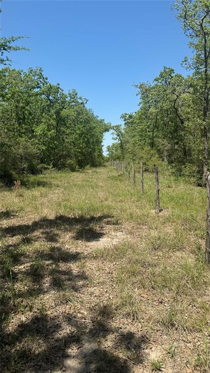 13565 Cr 274, Somerville, Texas image 11