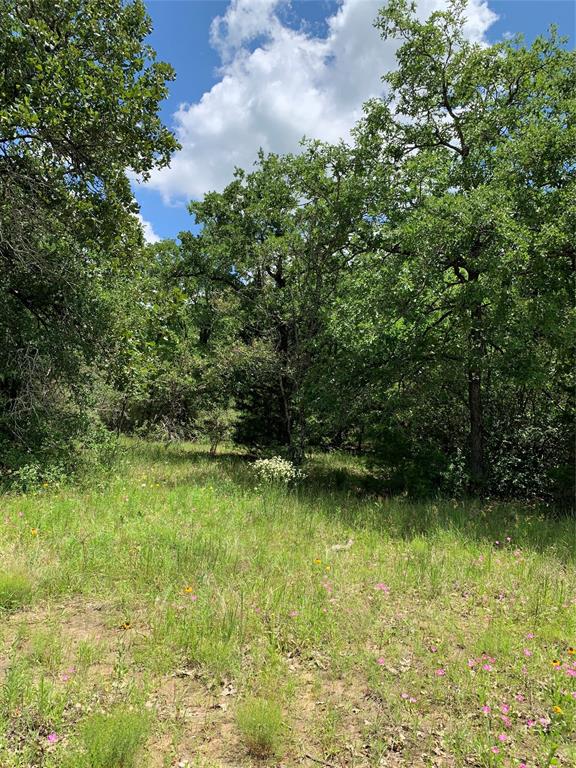 13565 Cr 274, Somerville, Texas image 8
