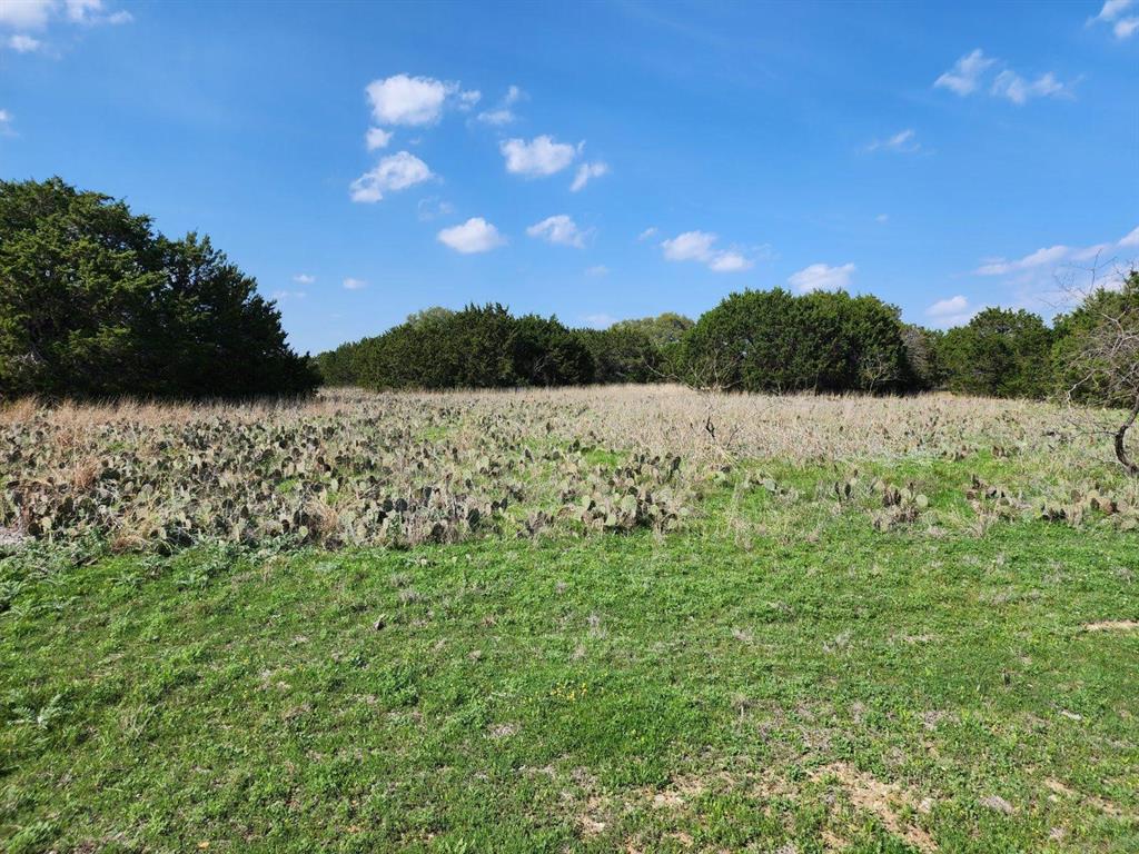 11094 Briarwood Drive, Whitney, Texas image 2