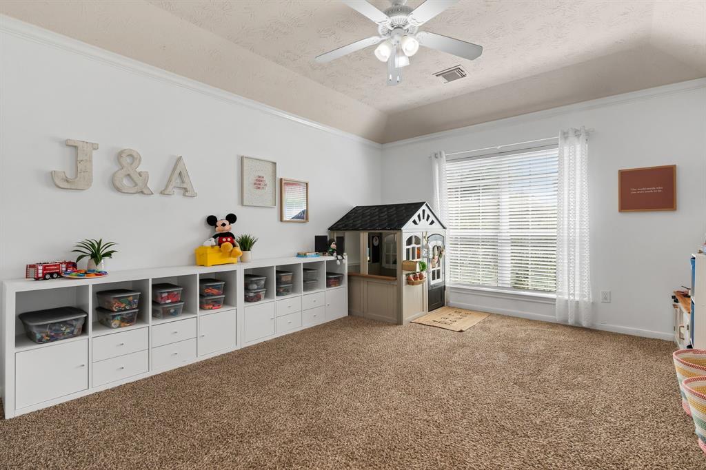 11926 Brightwood Drive, Montgomery, Texas image 6