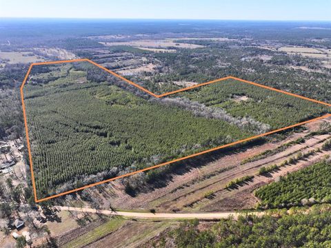 0 Kittrell Road Oakhurst TX 77359