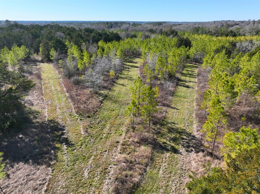 Kittrell Road, Oakhurst, Texas image 3