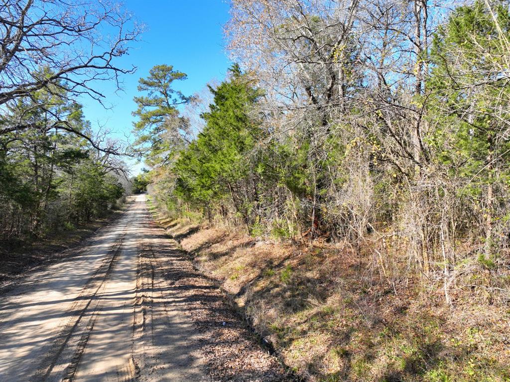 Kittrell Road, Oakhurst, Texas image 15