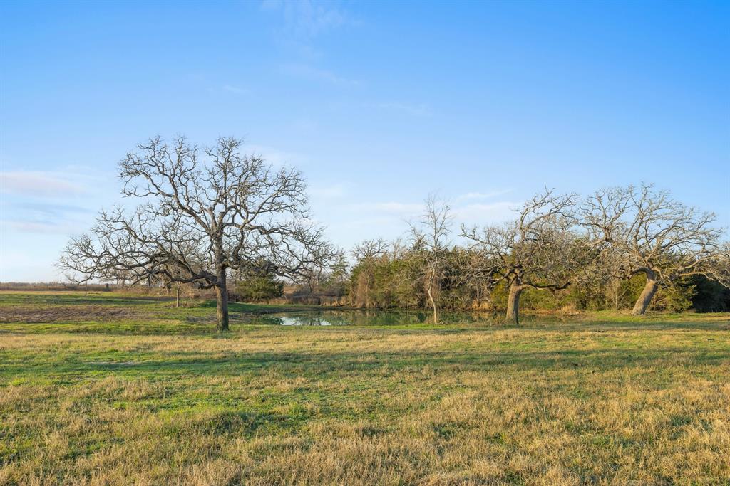 3.514 Ac (Lot 2N) County Road 410, Somerville, Texas image 7