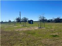 3.514 Ac (Lot 2N) County Road 410, Somerville, Texas image 11