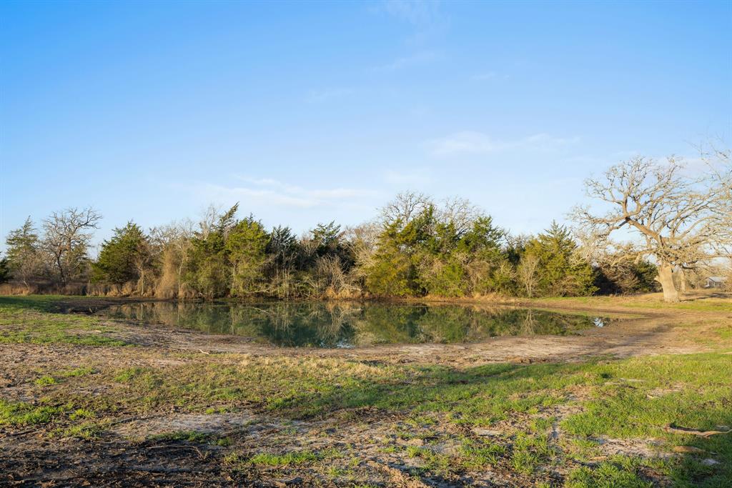 3.514 Ac (Lot 2N) County Road 410, Somerville, Texas image 4