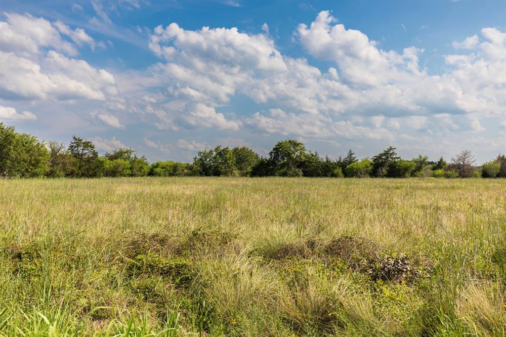 TBD Langberg Road, Bellville, Texas image 3