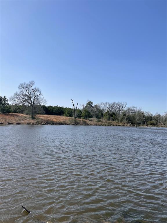 000 County Road 418, Flynn, Texas image 8