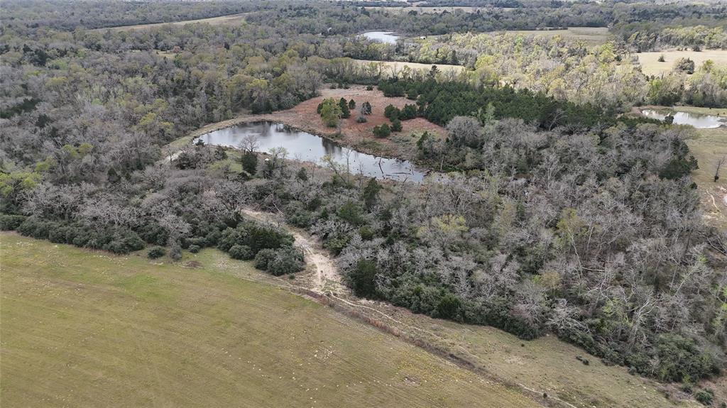 000 County Road 418, Flynn, Texas image 4