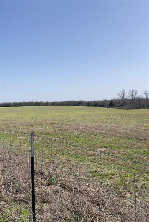 000 County Road 418, Flynn, Texas image 6