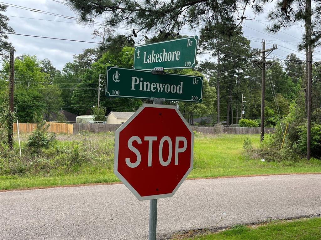 Lakeshore Drive, Conroe, Texas image 7