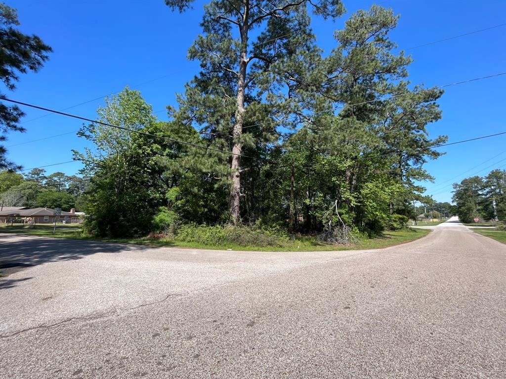 Lakeshore Drive, Conroe, Texas image 6