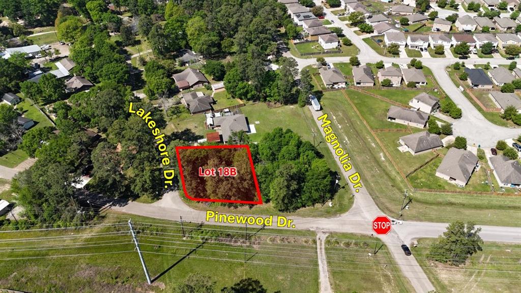 Lakeshore Drive, Conroe, Texas image 1