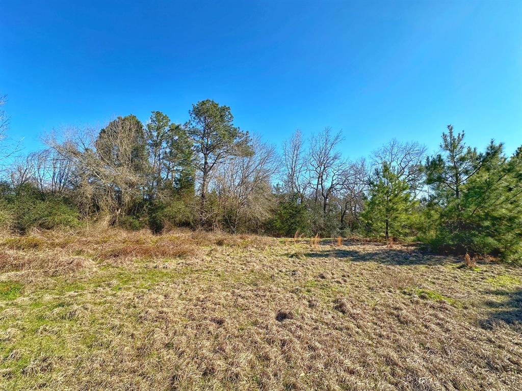 3 Acres Smith Rd, Centerville, Texas image 6