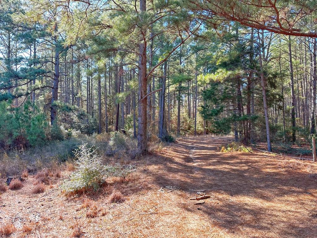 3 Acres Smith Rd, Centerville, Texas image 2