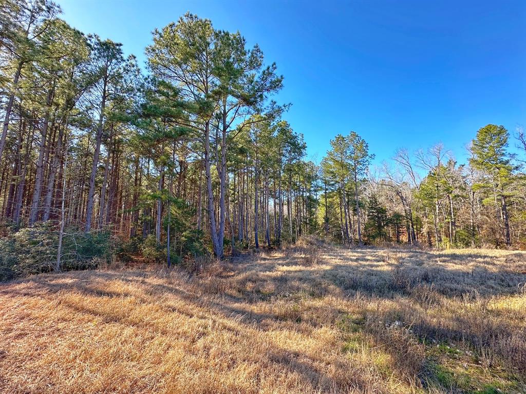 3 Acres Smith Rd, Centerville, Texas image 4