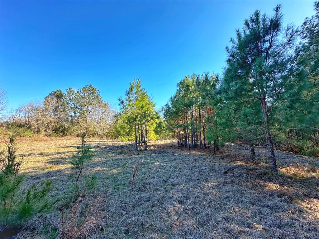 3 Acres Smith Rd, Centerville, Texas image 3