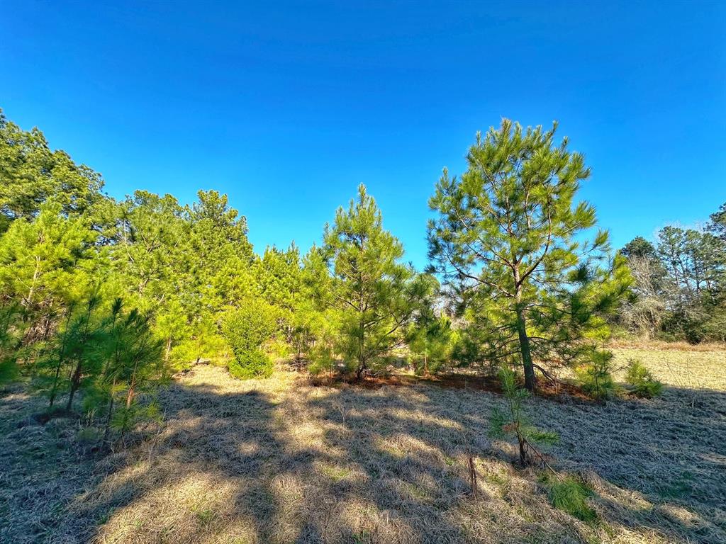3 Acres Smith Rd, Centerville, Texas image 1