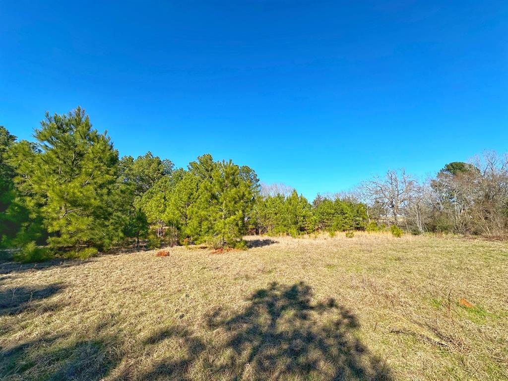 3 Acres Smith Rd, Centerville, Texas image 5