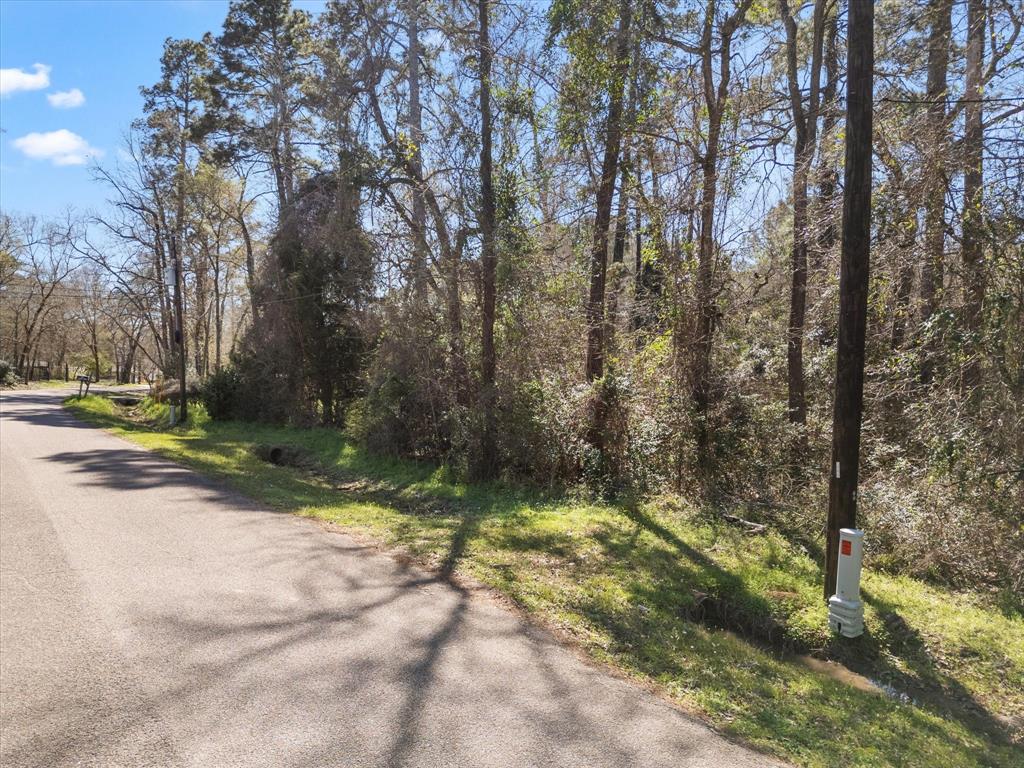410 Dogwood Trail, Conroe, Texas image 10
