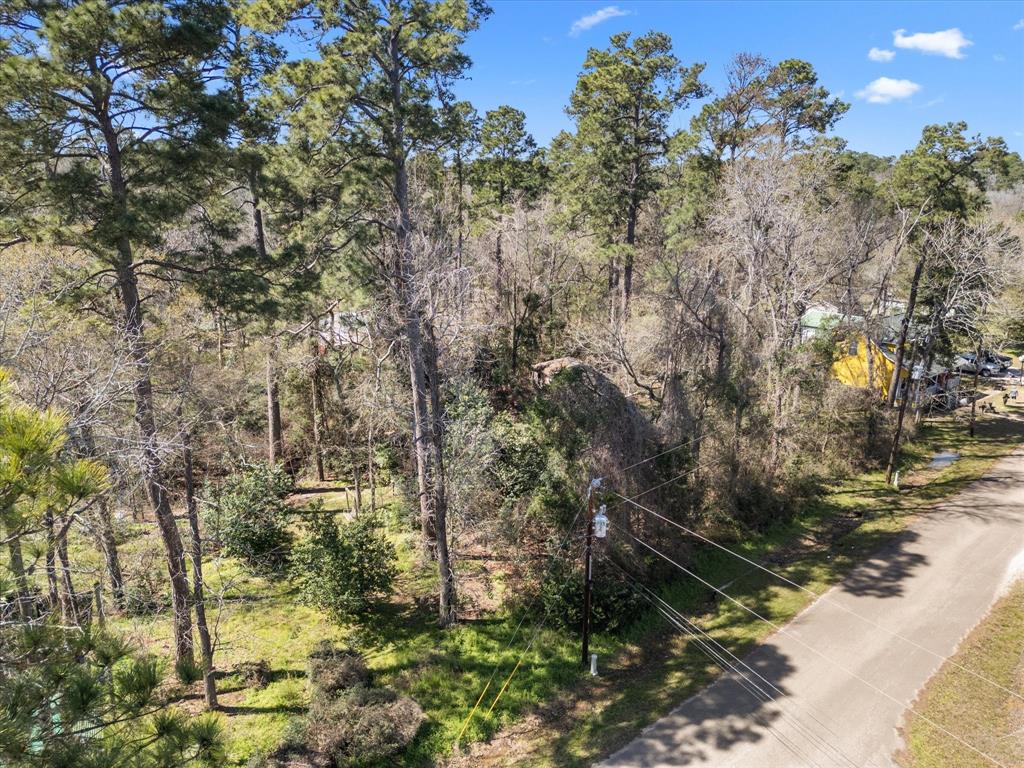 410 Dogwood Trail, Conroe, Texas image 11