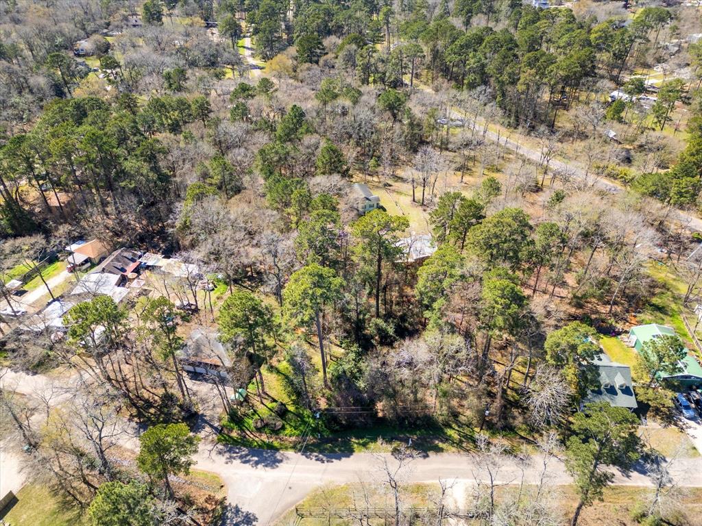 410 Dogwood Trail, Conroe, Texas image 5