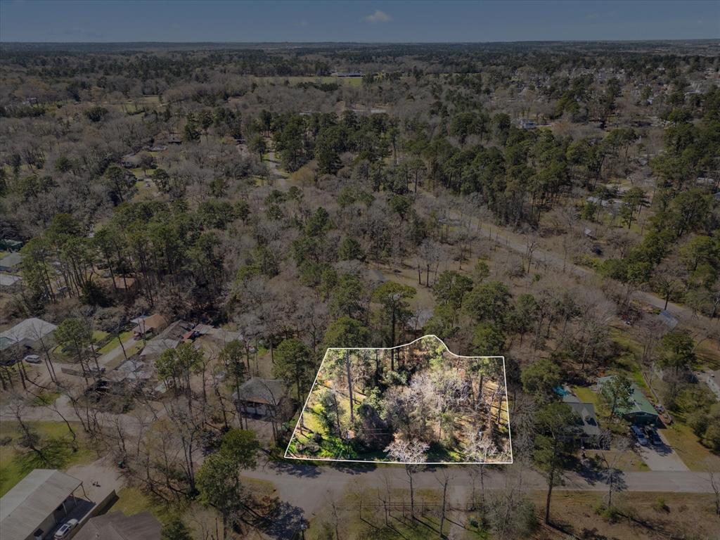 410 Dogwood Trail, Conroe, Texas image 2