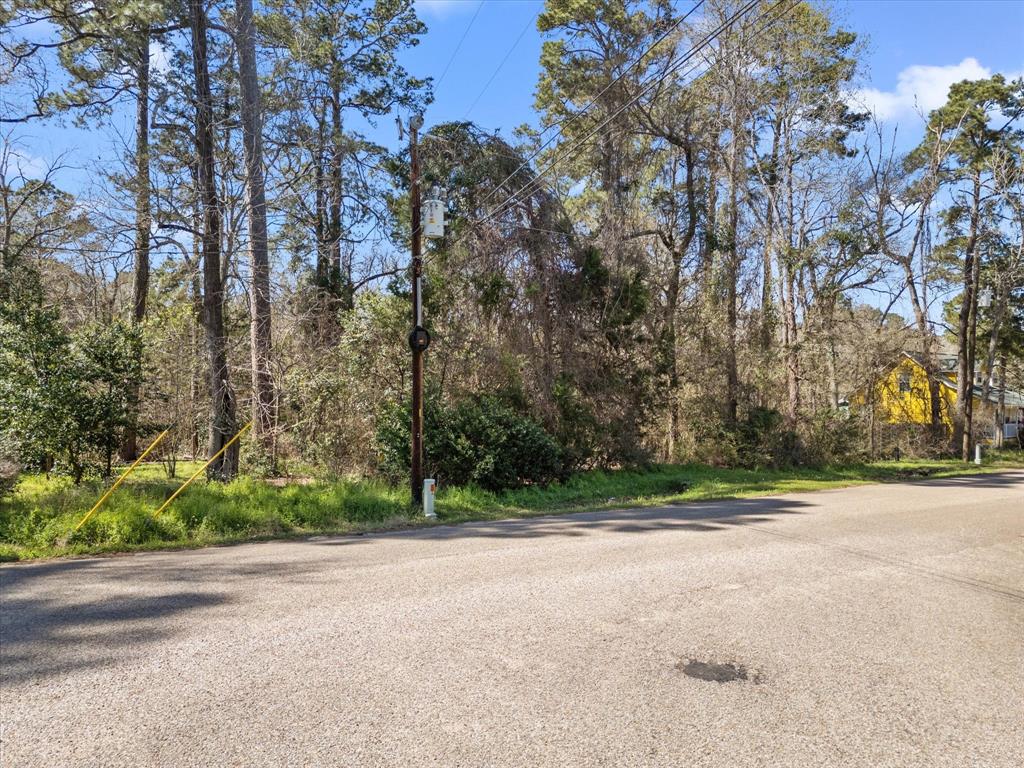 410 Dogwood Trail, Conroe, Texas image 12