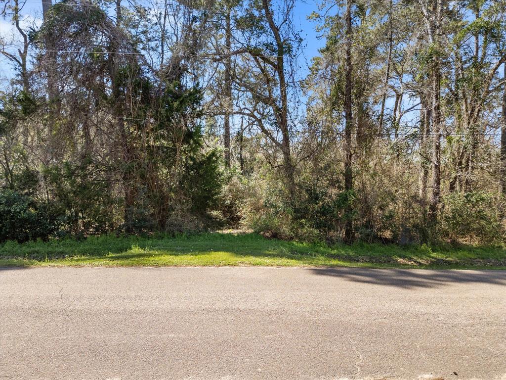 410 Dogwood Trail, Conroe, Texas image 9
